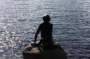 506-Copenaghen,28 agosto 2011